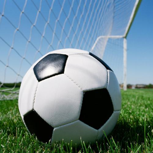 百度是不是站群