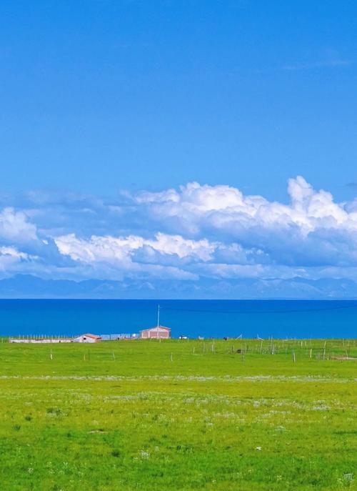 站群软件是做什么的